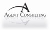 Agent Consulting